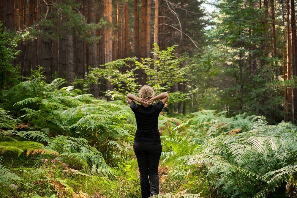 Banys de Bosc - 1